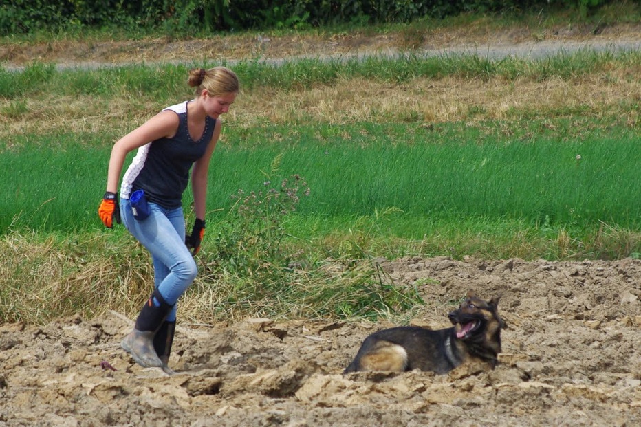 Hundesportverein Wyhlen-Grenzach - Grenzach-Wyhlen Hundesportverein Wyhlen-Grenzach - Grenzach-Wyhlen