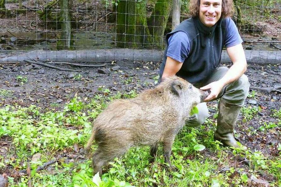 Wildgehege - Bad Säckingen Wildgehege - Bad Säckingen