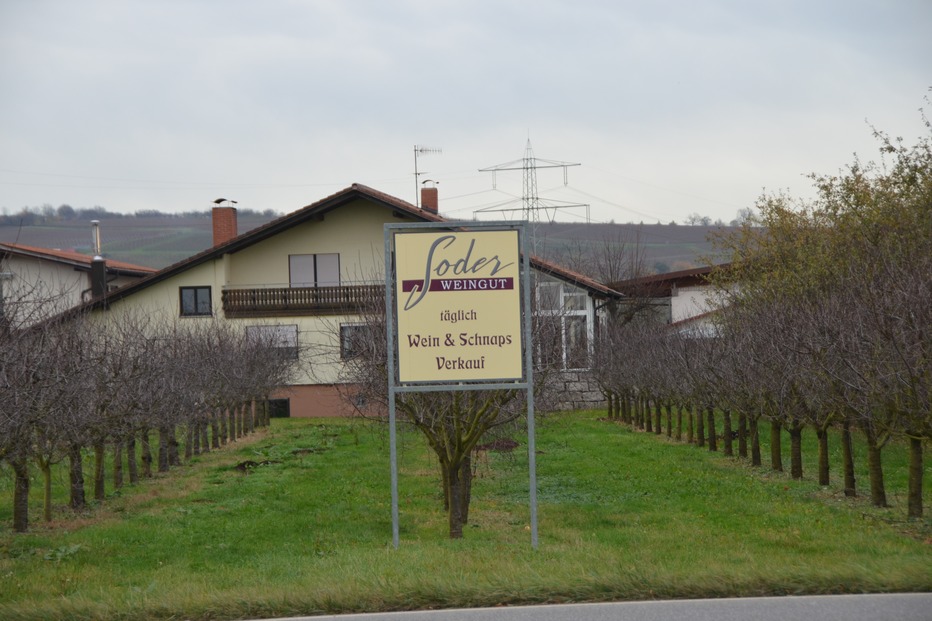 Soder Winzerschänke (Eimeldingen) - Eimeldingen Soder Winzerschänke (Eimeldingen) - Eimeldingen