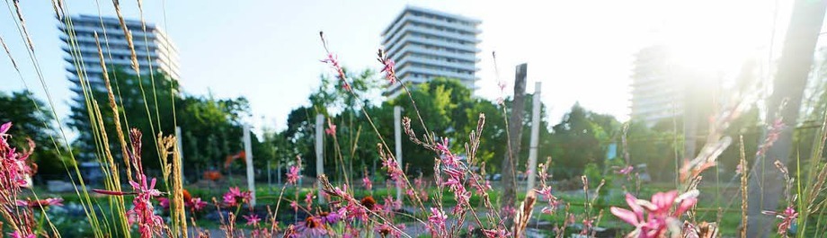 Die Landesgartenschau 2018 in Lahr Die Landesgartenschau 2018 in Lahr