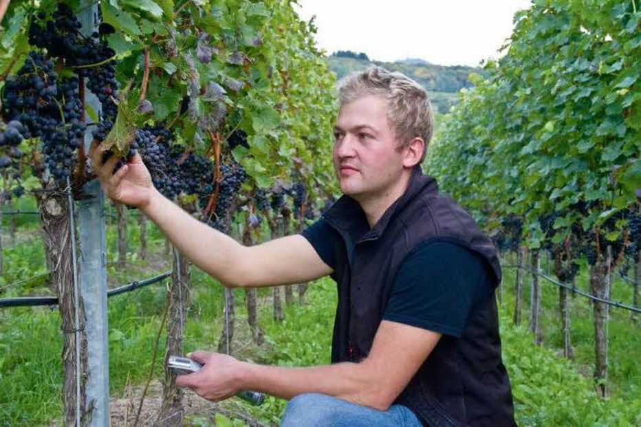 Weingut und Haubrennerei Johannes Landerer - Vogtsburg Weingut und Haubrennerei Johannes Landerer - Vogtsburg