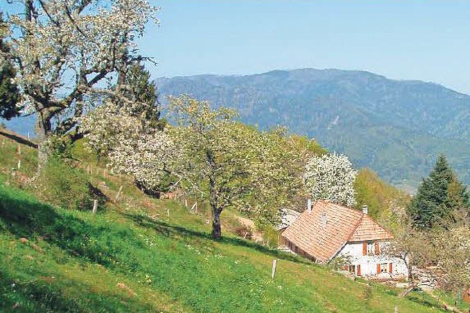 Ferme Auberge Bruckenwald - Niederbruck Ferme Auberge Bruckenwald - Niederbruck