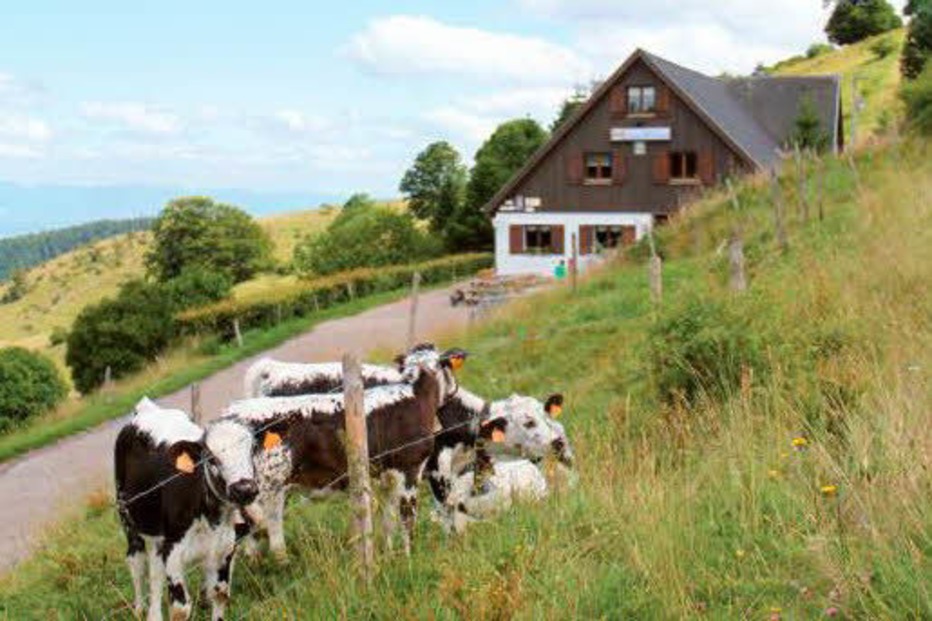Ferme Auberge du Buchwald - Wasserbourg Ferme Auberge du Buchwald - Wasserbourg