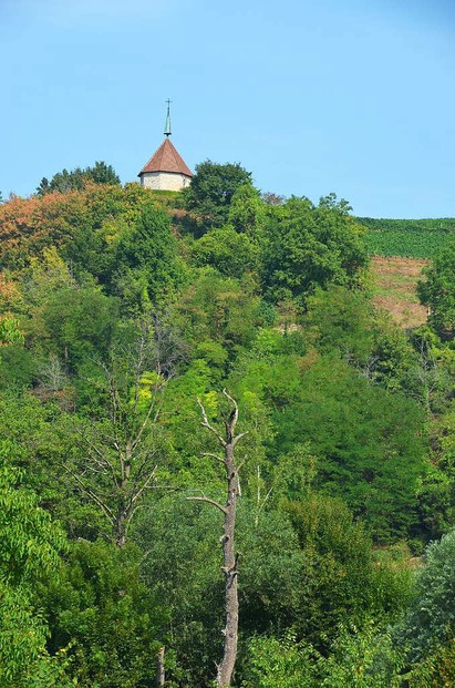 Ölberg (Ehrenstetten) Ehrenkirchen Badische Zeitung TICKET