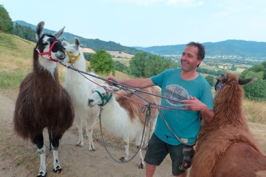 Lama-Trekking (Ruhbauernhof) - Kirchzarten Lama-Trekking (Ruhbauernhof) - Kirchzarten