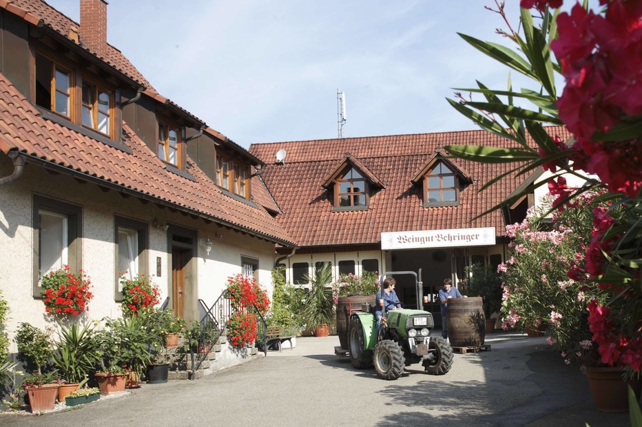 Weingut Behringer (Britzingen) - Müllheim Weingut Behringer (Britzingen) - Müllheim