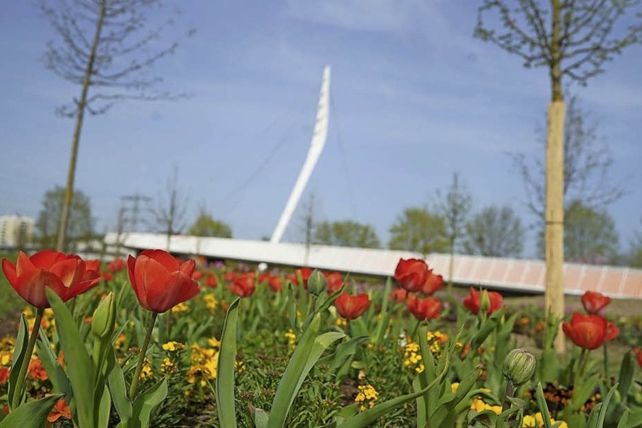 Landesgartenschaugelände - Lahr Landesgartenschaugelände - Lahr