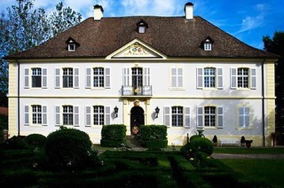 Schloss Rimsingen