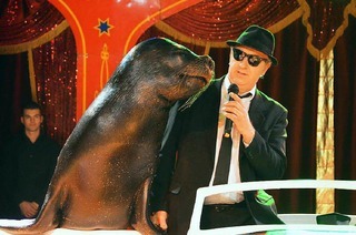 Fotos: Der Lrracher Weihnachtscircus