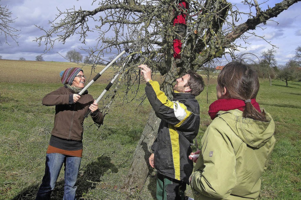 Obstbaumschnittkurs in Lrrach - Badische Zeitung TICKET