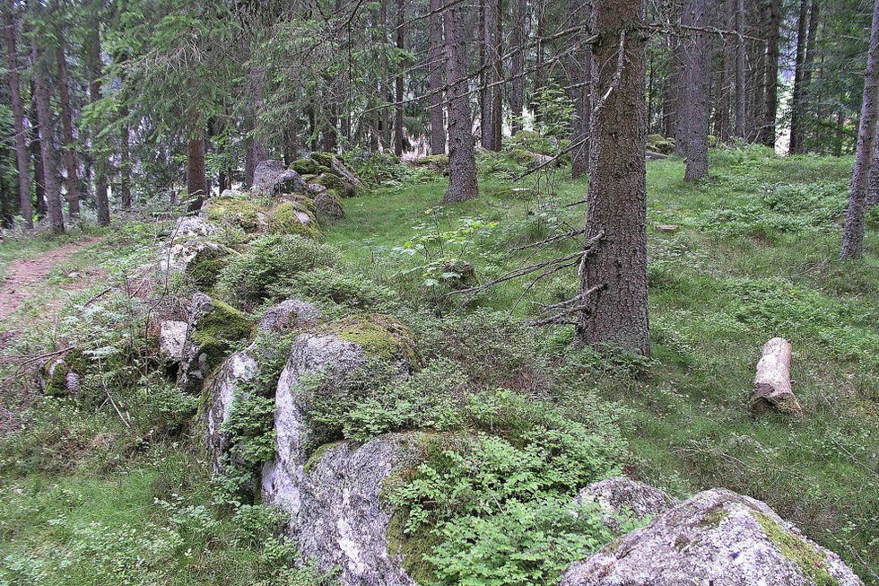 Wanderung zum Steinkreis Blasiwald - Badische Zeitung TICKET