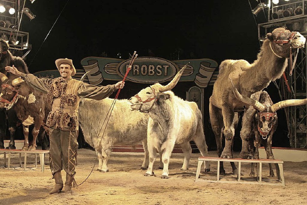 Freikarten fr den Circus Probst auf dem Messeplatz Offenburg - Badische Zeitung TICKET