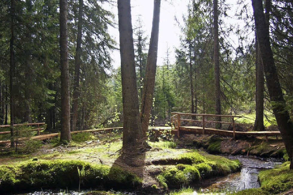 Familienwanderung im Bernauer Zauberwald - Badische Zeitung TICKET