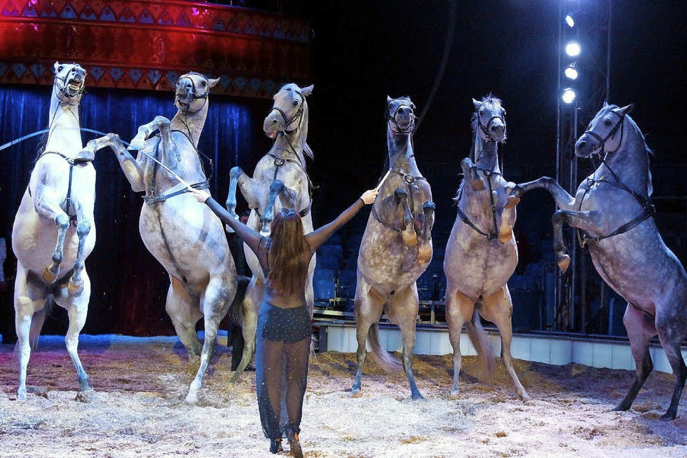 Circus Carl Busch gastiert mit Tieren, Clowns und Akrobaten in Kehl - Badische Zeitung TICKET
