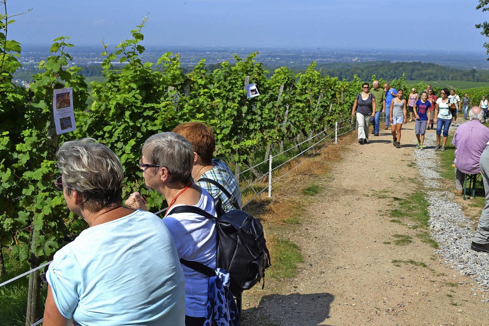 Sechs Stationen mit Wein und Essen entlang der Rebgemeinden - Badische Zeitung TICKET