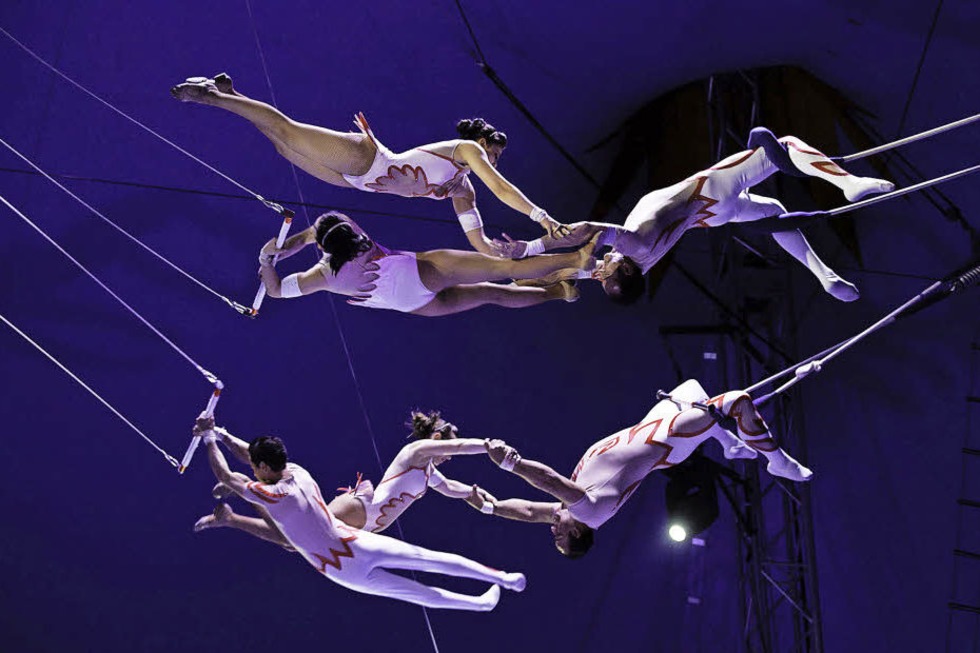 Gewinnen Sie Freikarten fr den Circus Nock in Basel - Badische Zeitung TICKET