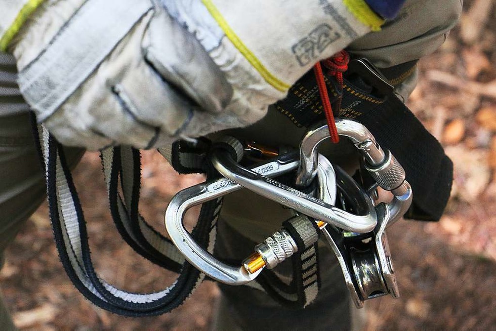Gfll in Oberried und Abenteuer im Wald in Kenzingen - Badische Zeitung TICKET