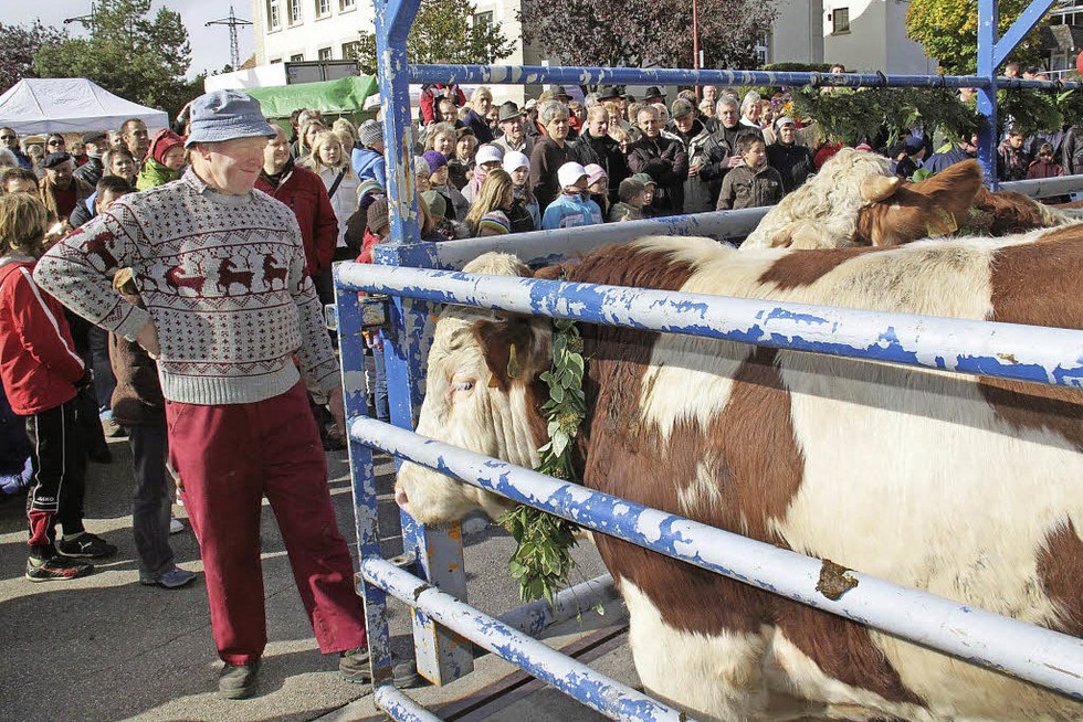 Mit dem "Hagehole" endet die Weidesaison - Badische Zeitung TICKET