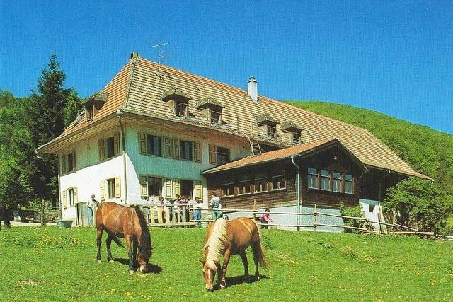 Badens beste Ferien auf dem Bauernhof Badische Zeitung