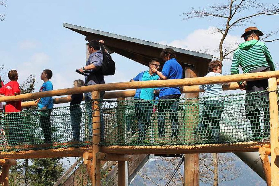 Baumkronenweg in Waldkirch erffnet die Saison - Badische Zeitung TICKET