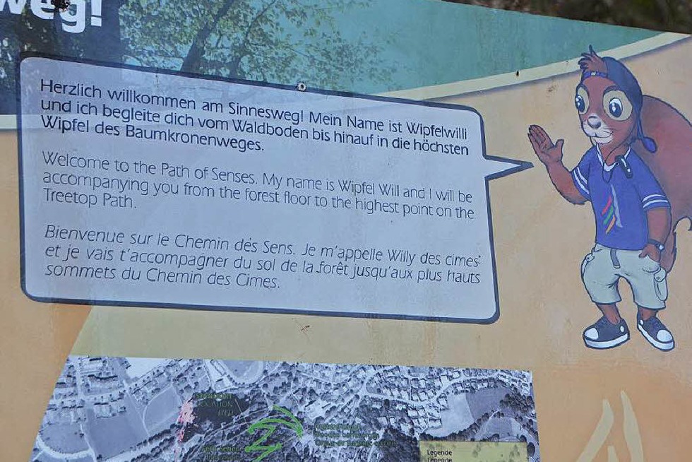 Baumkronenweg in Waldkirch erffnet die Saison - Badische Zeitung TICKET
