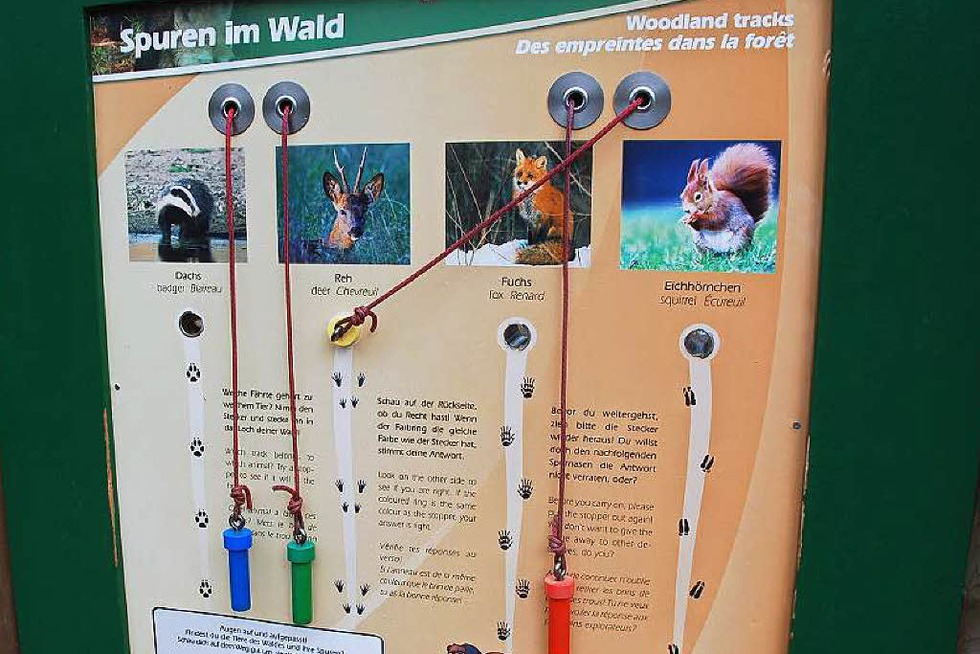 Baumkronenweg in Waldkirch erffnet die Saison - Badische Zeitung TICKET