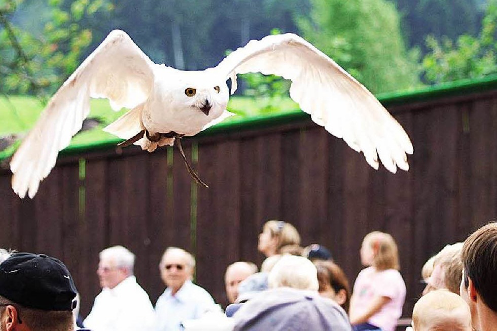 Die Freizeitparks im Sden starten in die Saison - Badische Zeitung TICKET