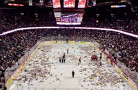 Video: Wie kanadische Hockeyfans 25000 Stofftiere aufs Eis werfen