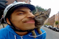 Diese Katze fhrt Fahrrad