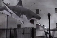 Sharknado: Der schlechteste Film aller Zeiten luft am Donnerstag im KoKi