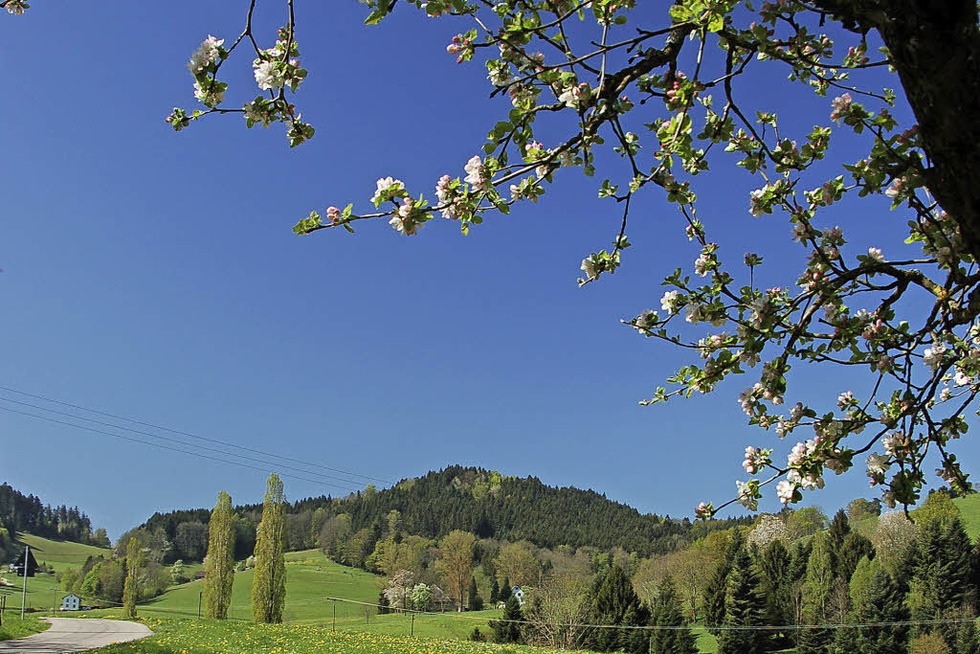 Maifest auf dem Pfeiferberg in Neuhuser (Kirchzarten/Freiburg) - Badische Zeitung TICKET