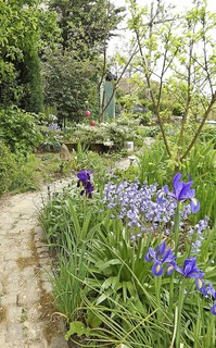 Garten-Harmonie zum Entspannen - Badische Zeitung TICKET