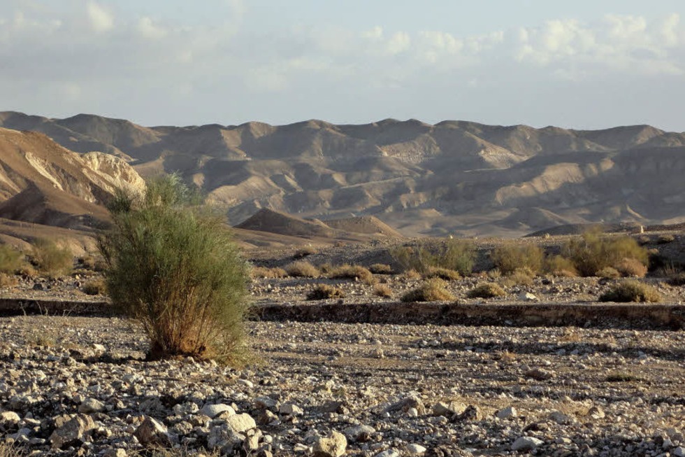 Johannes Reiner war auf dem Israel National Trail unterwegs und berichtet mit Bildern von dieser Wanderung durch ganz Israel - Badische Zeitung TICKET