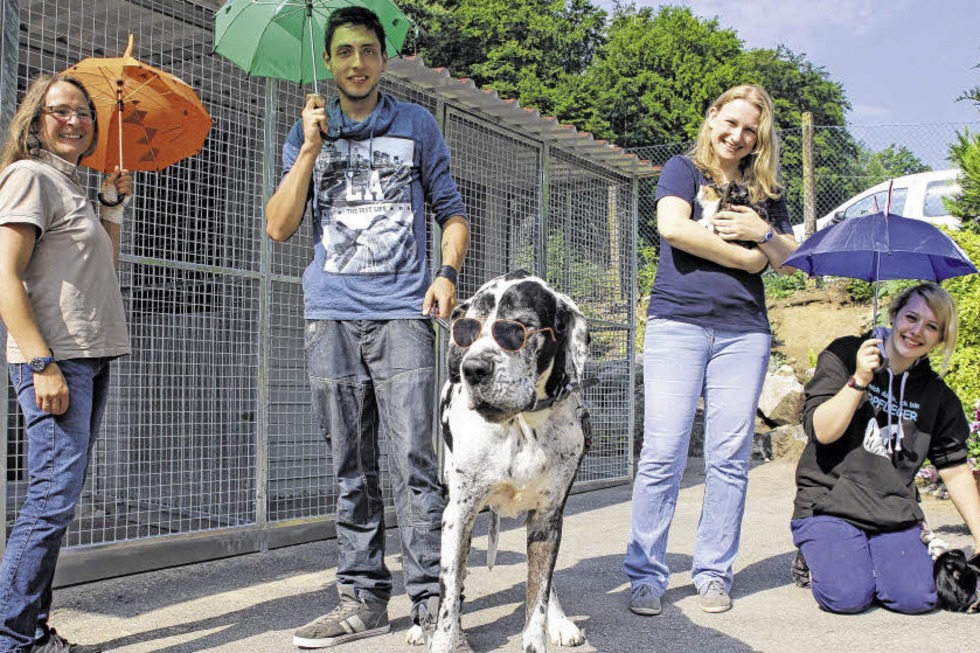 SOMMERFEST - Badische Zeitung TICKET