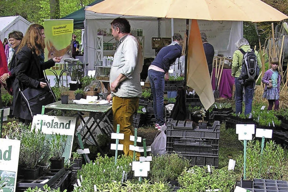 Die Biogartenmesse findet erstmals im Park des Schlosses Ebnet statt - Badische Zeitung TICKET