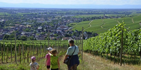 Wandertour in die Steinzeit - Badische Zeitung TICKET