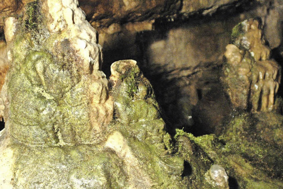 Erdmannshöhle Hasel: Eine der ältesten Tropfsteinhöhlen ...