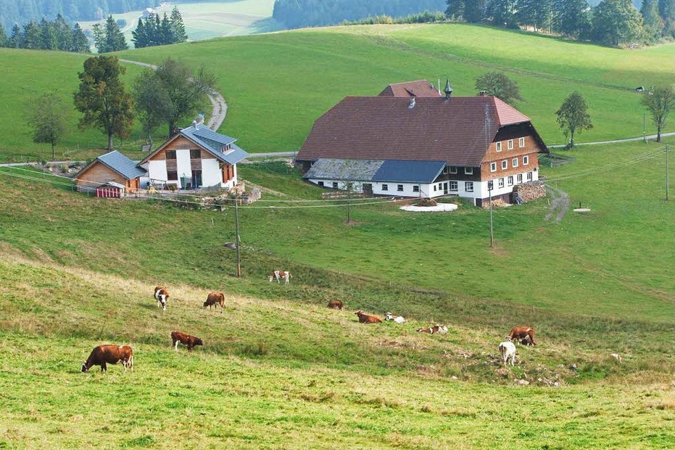 Doldenhof - Breitnau