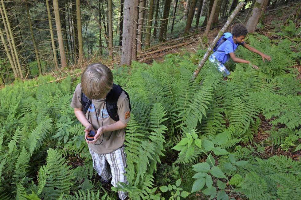 Mnstertal: Geocaching durch die Wildnis - Badische Zeitung TICKET