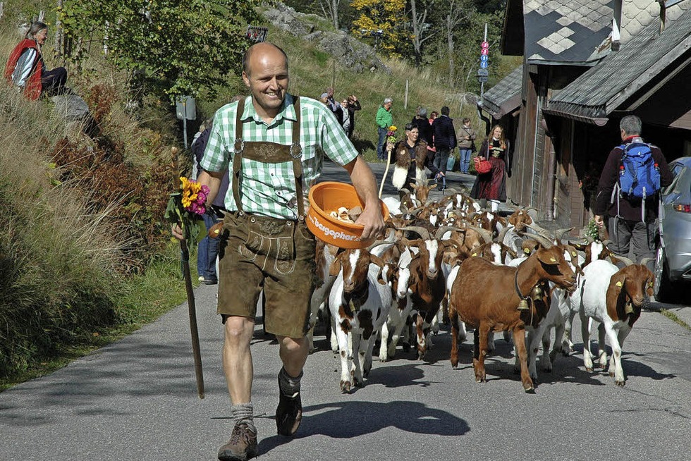 Herbstmarkt und Weideabtrieb in Menzenschwand - Badische Zeitung TICKET