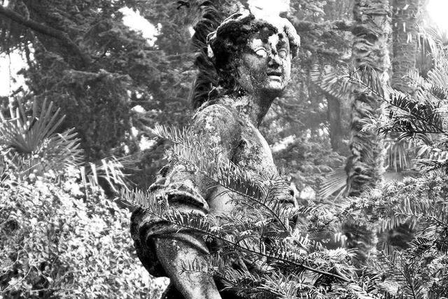 Teilnehmende K�nstler (18): Wladimir Fuchs