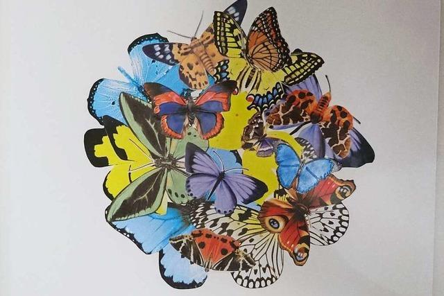 Teilnehmende K�nstler (28): Claudia Gabler