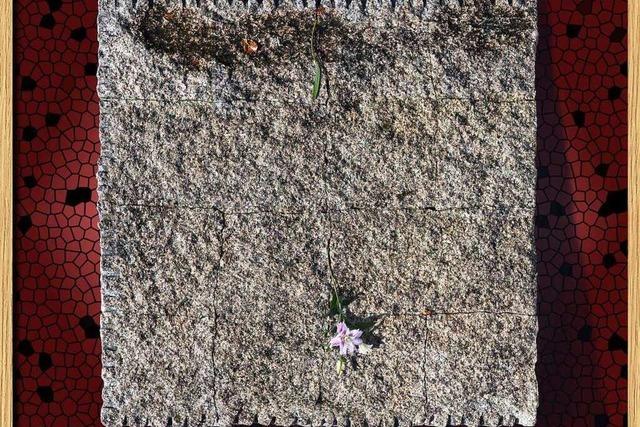 Teilnehmende K�nstler (32): Juri Junkov