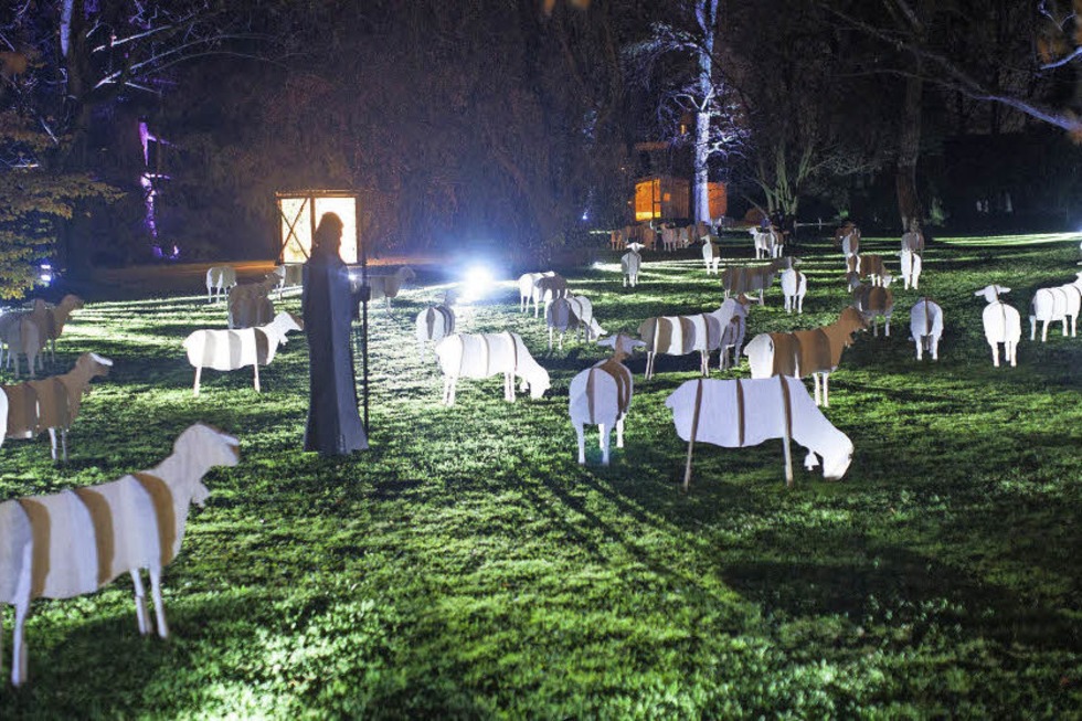 Schafe und Hirten im Park des Basler Claraspitals - Badische Zeitung TICKET