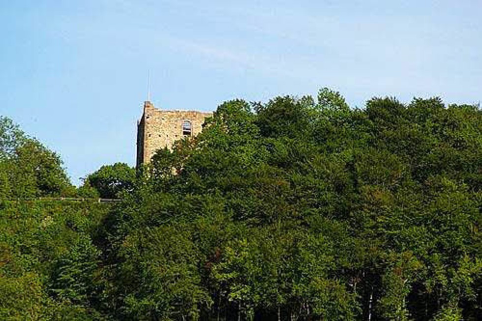 Ruine Wartenberg - Muttenz