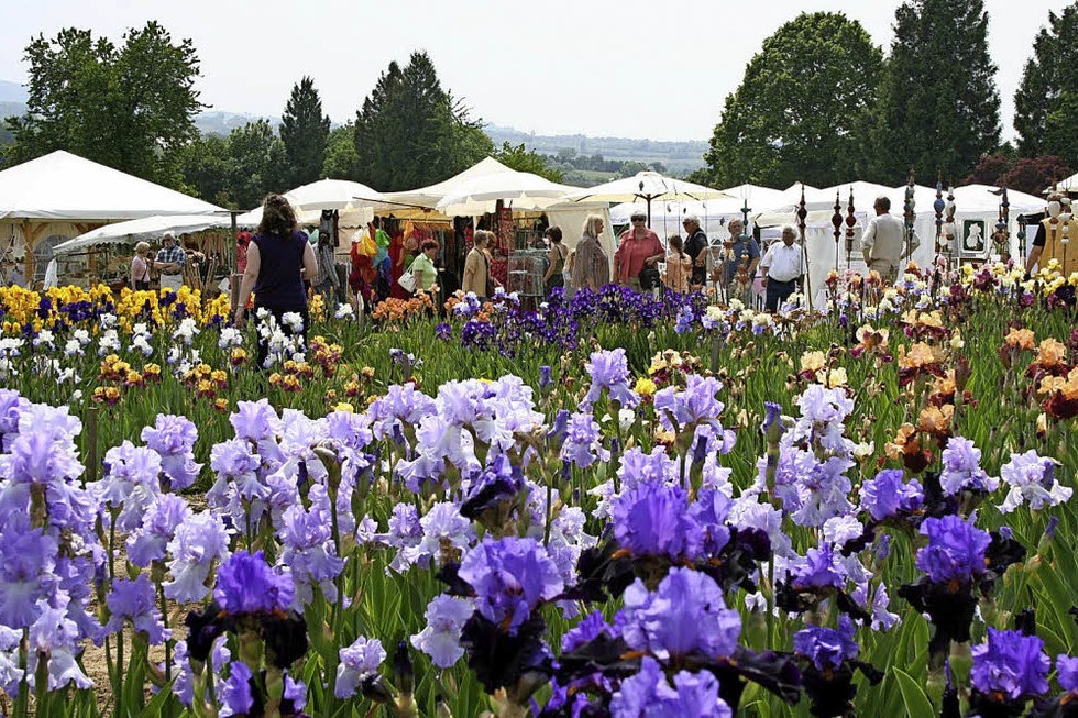 Gartenvielfalt in Laufen - Badische Zeitung TICKET