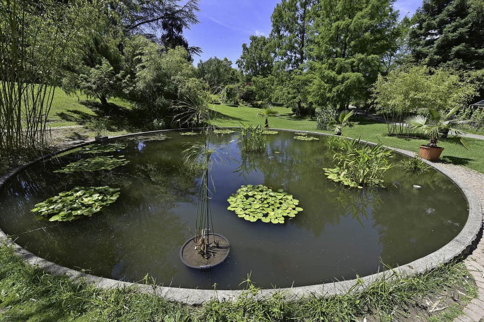 Aktionswoche im Botanischen Garten Freiburg - Badische Zeitung TICKET