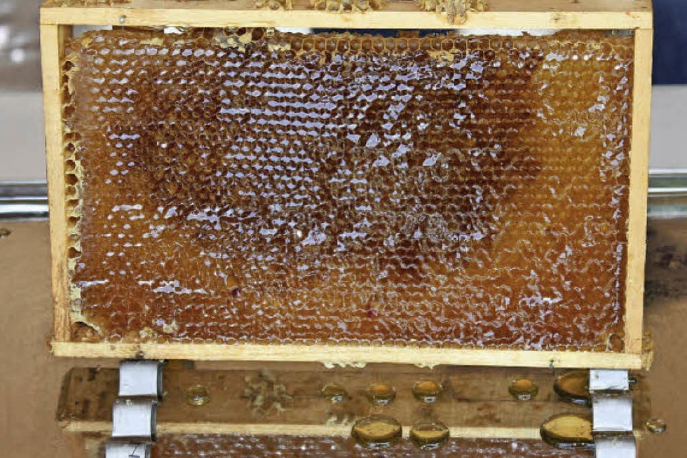 Honigschleudern im Tierpark Lange Erlen in Basel - Badische Zeitung TICKET