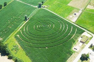 Maisfeld-Labyrinth (Opfingen)