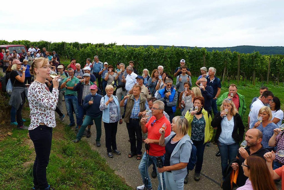 Weinfest mit Lichterketten und Panoramablick - Badische Zeitung TICKET